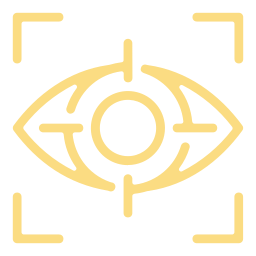 vision