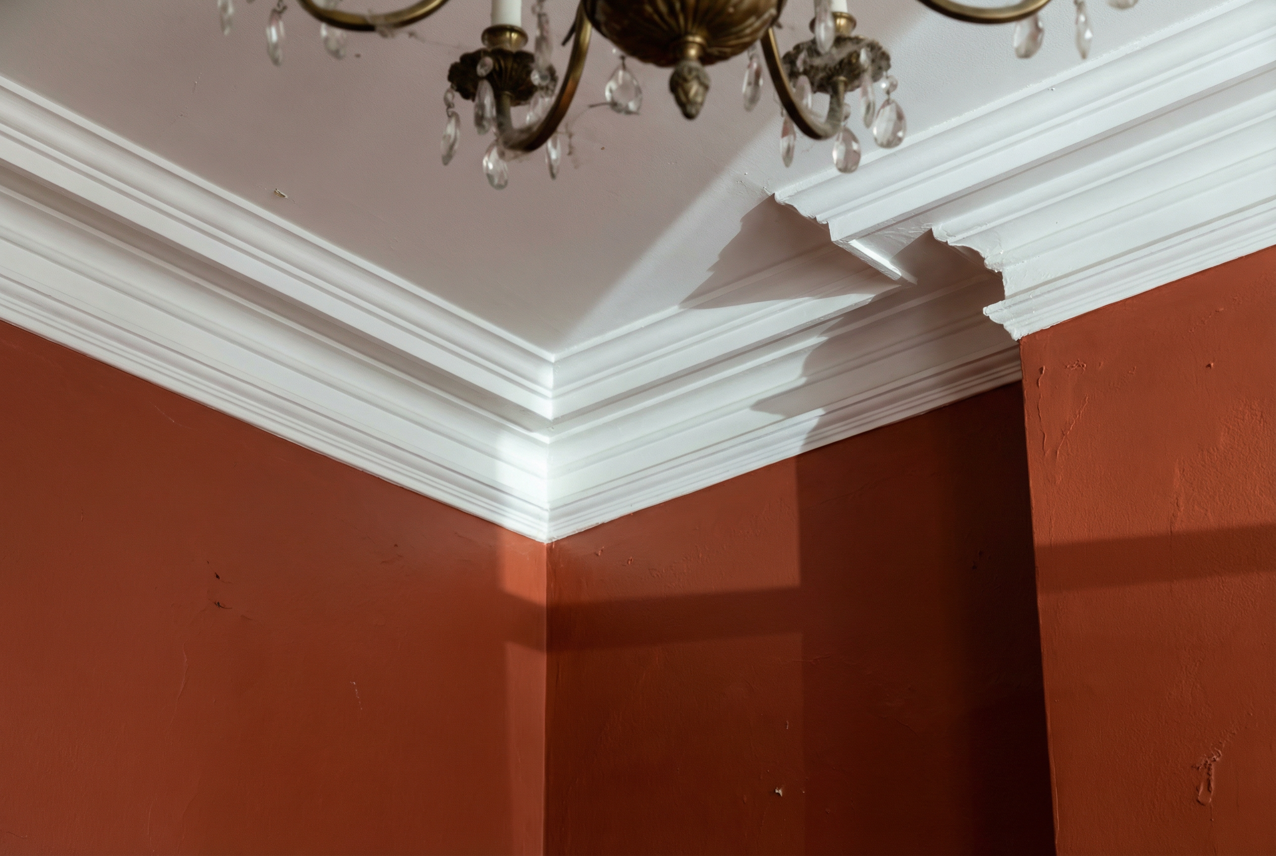 Elegant crown molding in Washington DC dining room — traditional ogee profile with shadow lines by