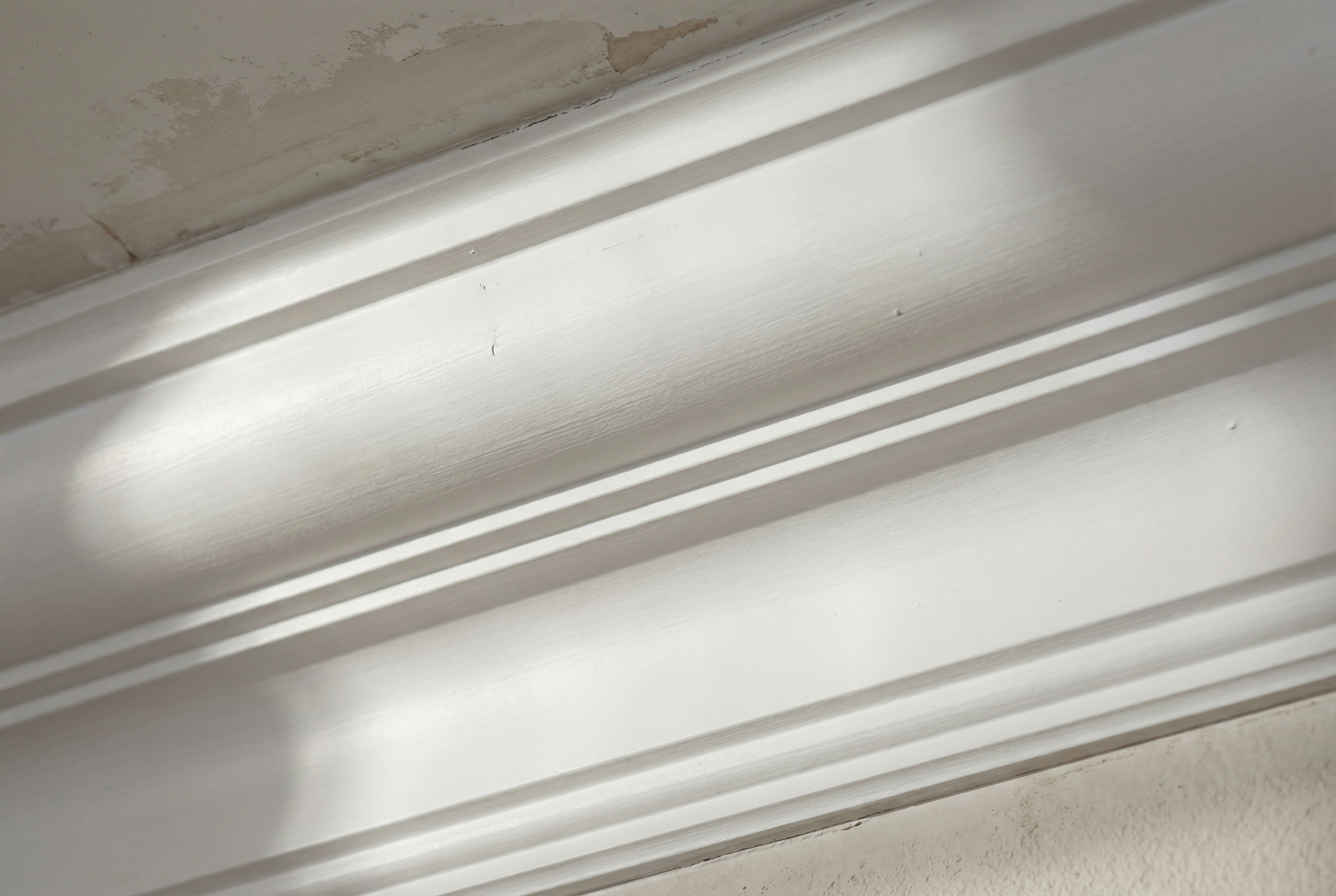 Traditional ogee crown molding in Washington DC formal dining room — S-curve profile with shadow lines by HomePro DMV Painters Traditional ogee crown molding in Washington DC formal dining room — S-curve profile with shadow